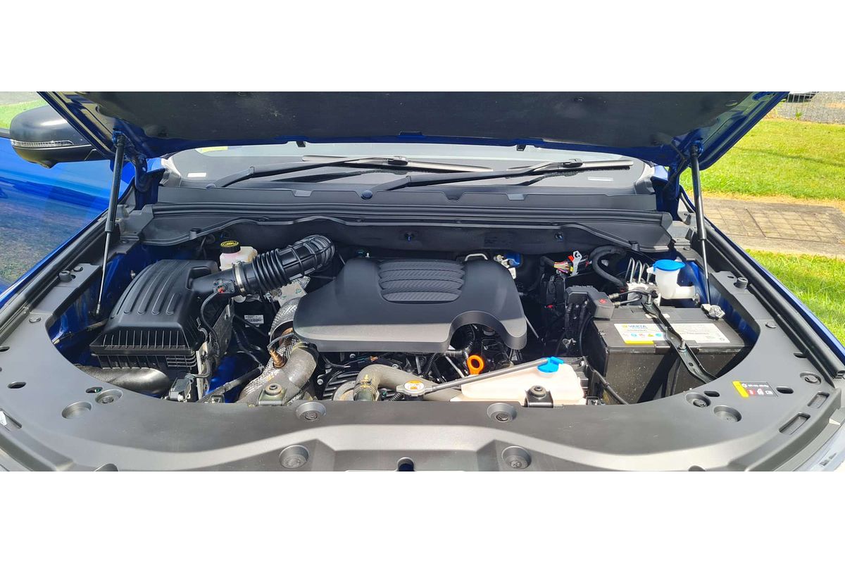 2022 GWM Ute Cannon Vanta NPW 4X4