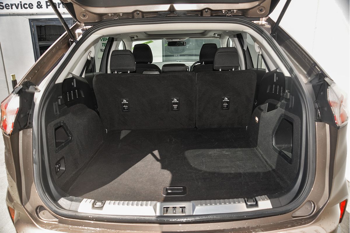 2019 Ford Endura Trend CA