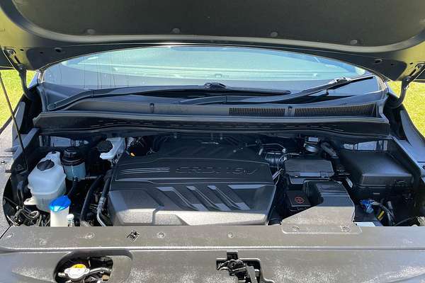 2019 Kia Carnival S YP