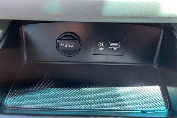 2019 Kia Carnival S YP