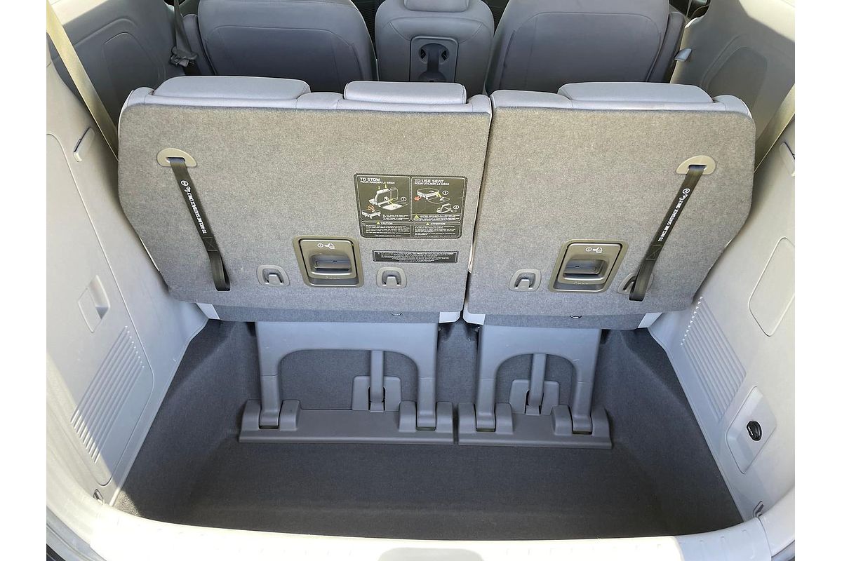 2019 Kia Carnival S YP