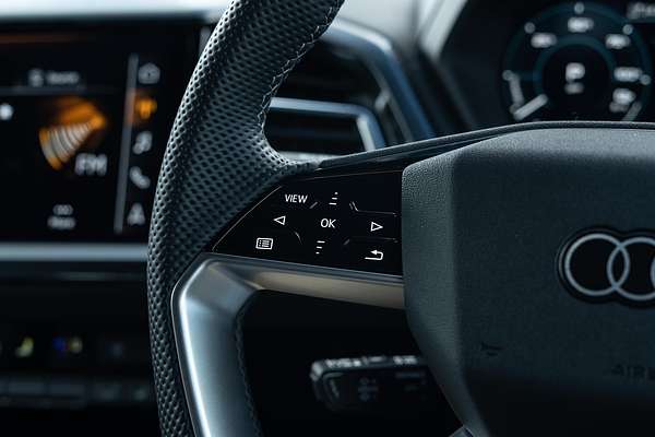2024 Audi Q4 e-tron 55 F4