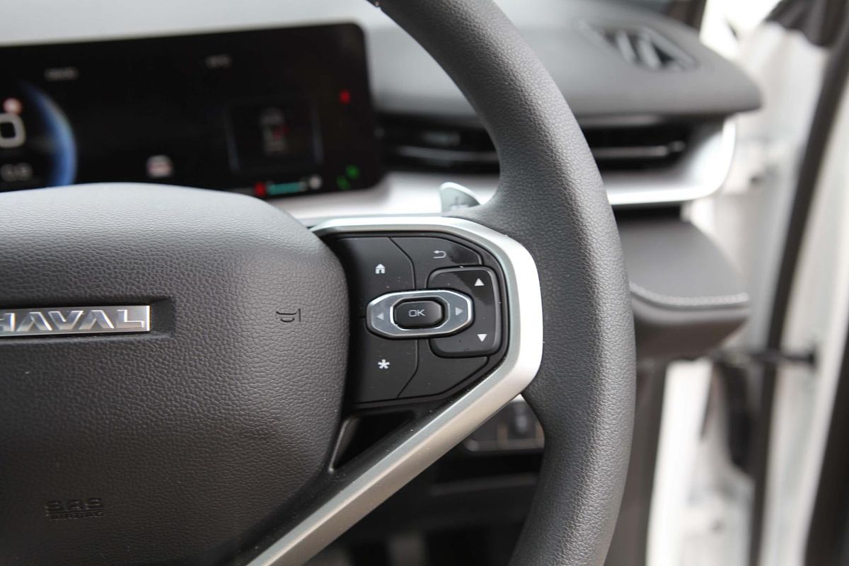 2024 GWM Haval H6 Premium B01
