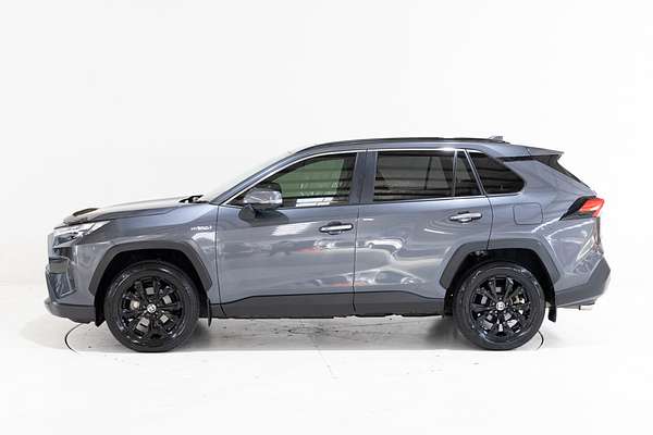 2022 Toyota RAV4 Cruiser AXAH52R