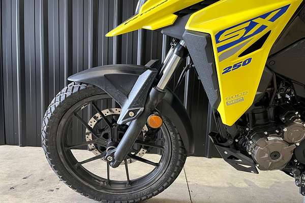 2024 Suzuki DS250