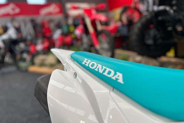 2024 Honda CRF110F