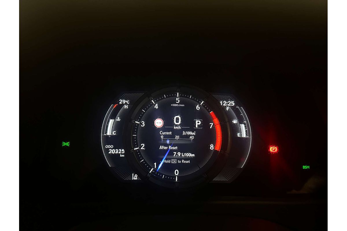 2019 Lexus UX UX200 F Sport MZAA10R