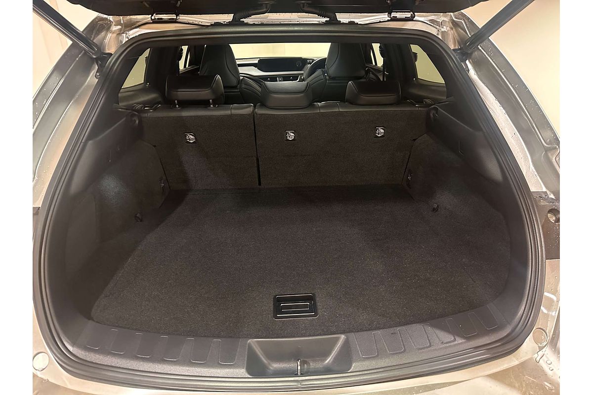 2019 Lexus UX UX200 F Sport MZAA10R