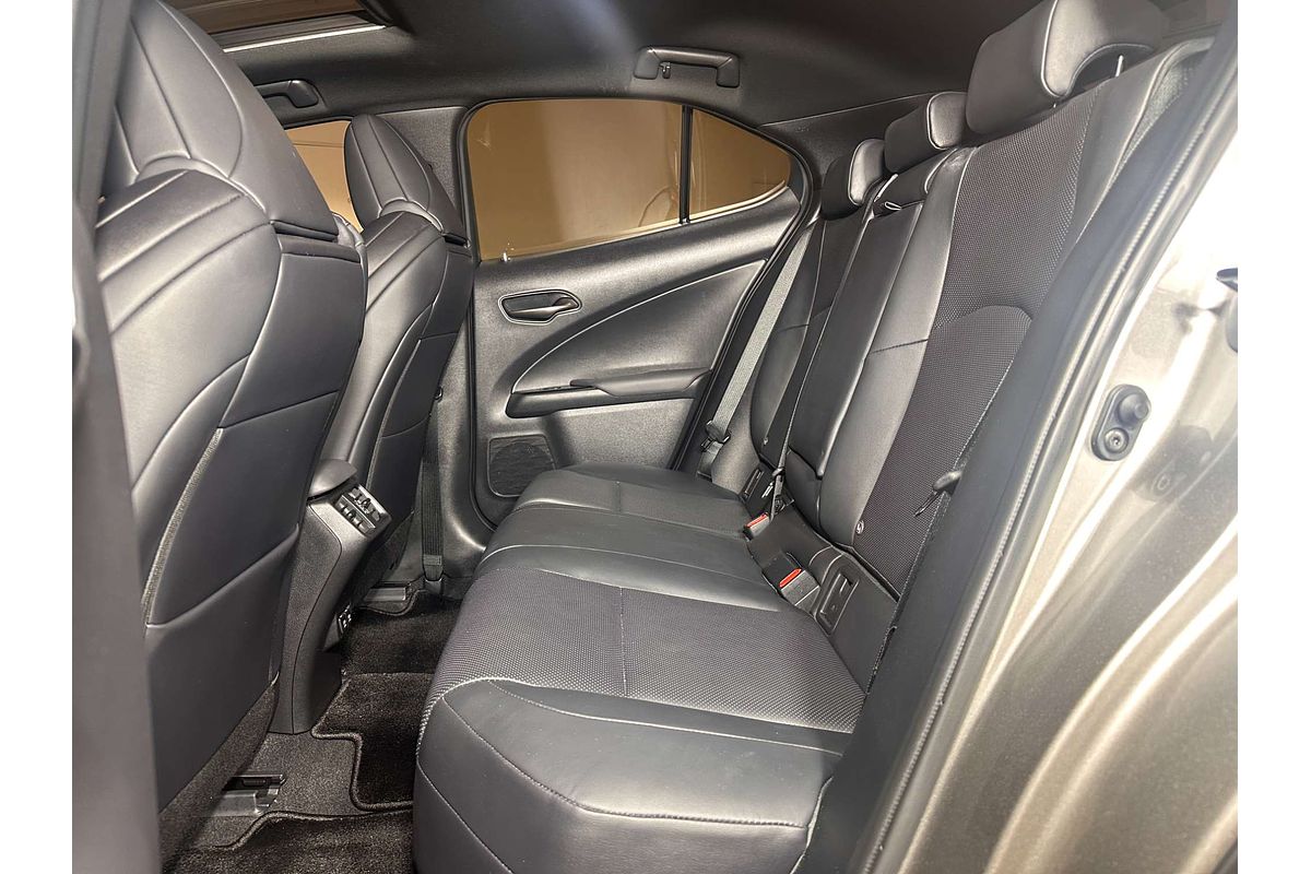 2019 Lexus UX UX200 F Sport MZAA10R