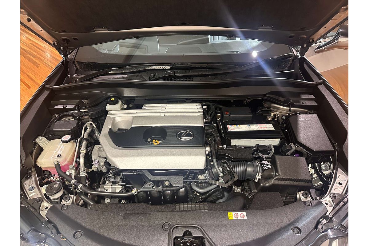 2019 Lexus UX UX200 F Sport MZAA10R