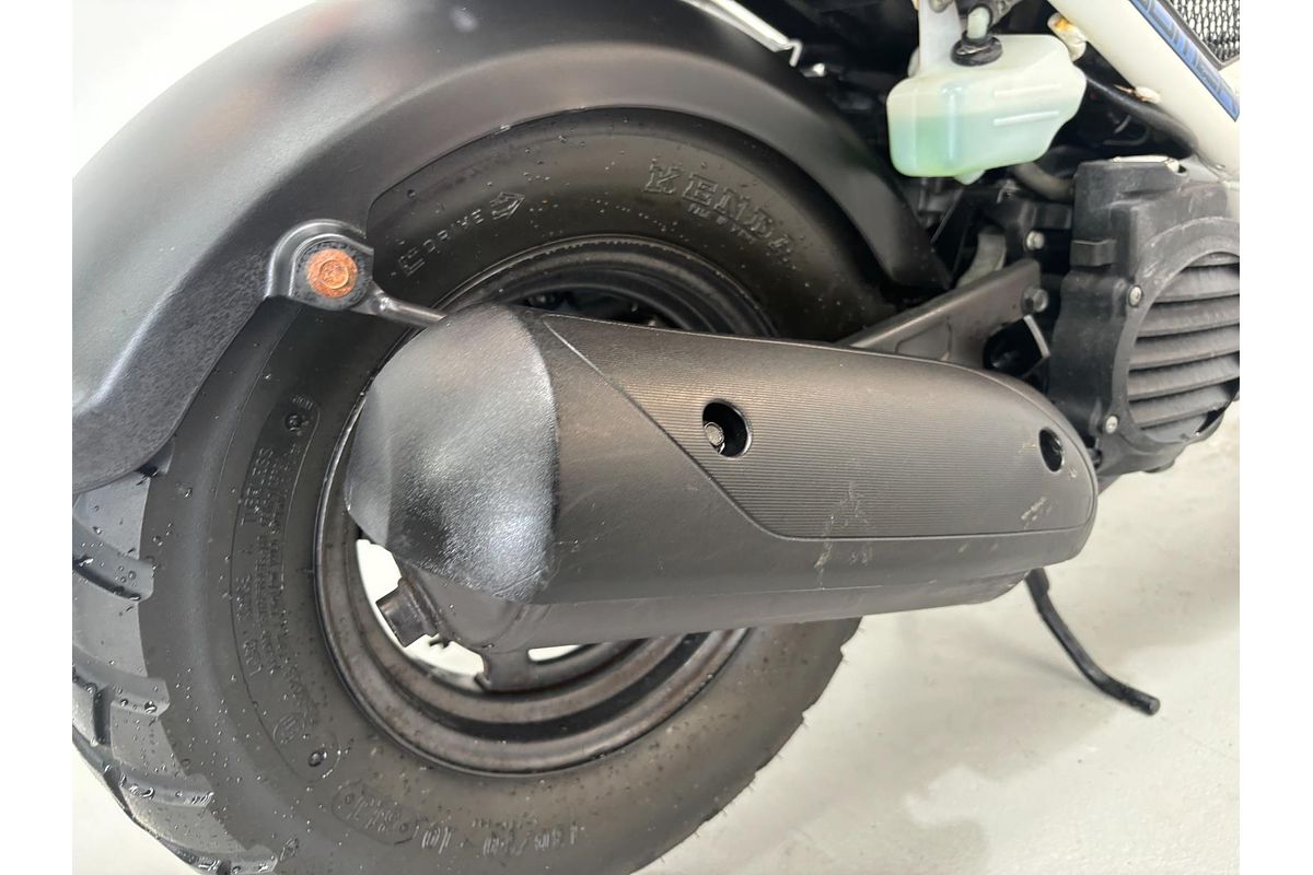 2007 Honda Zoomer AF58