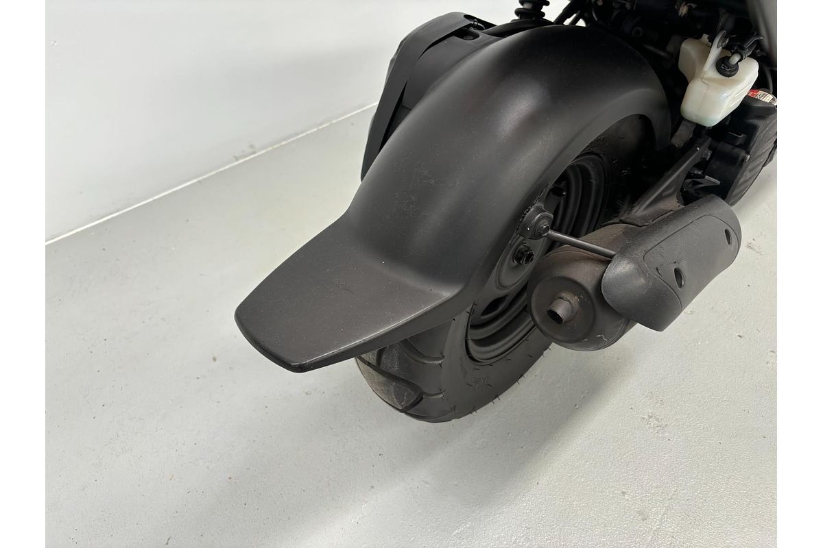 2010 Honda ZOOMER AF58