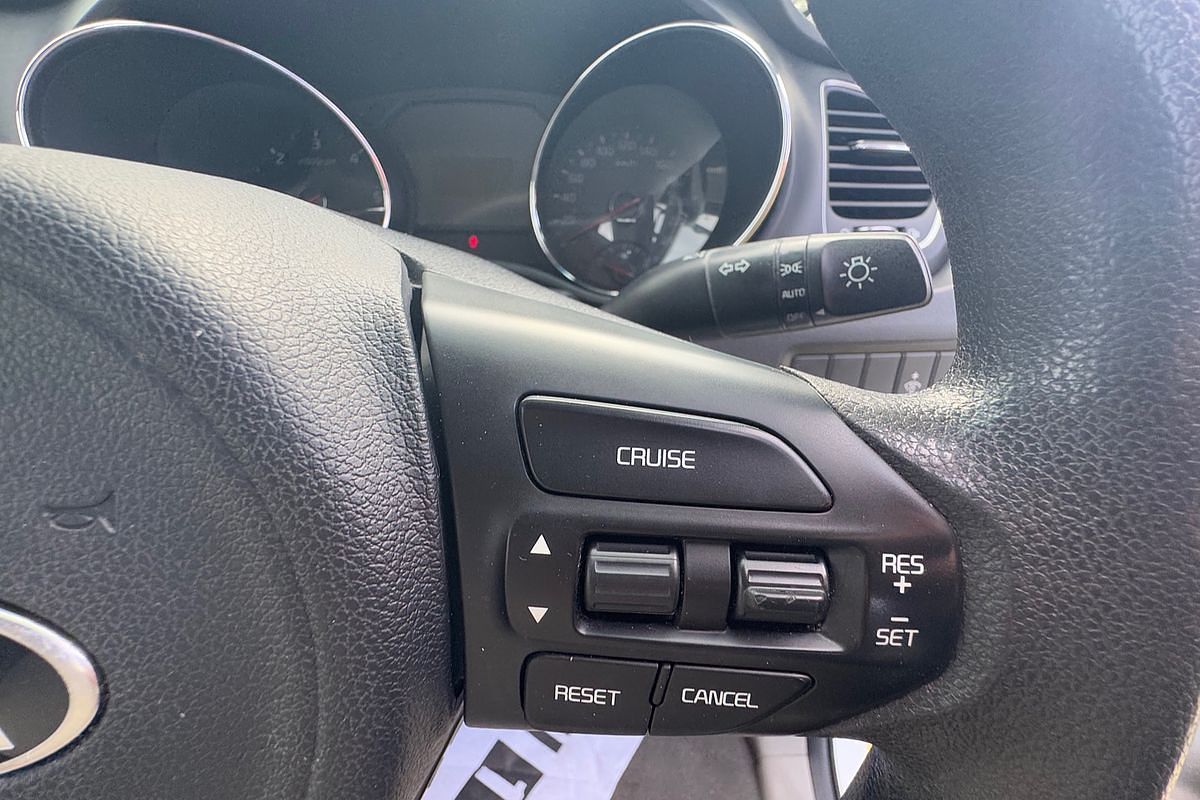 2017 Kia Carnival S YP