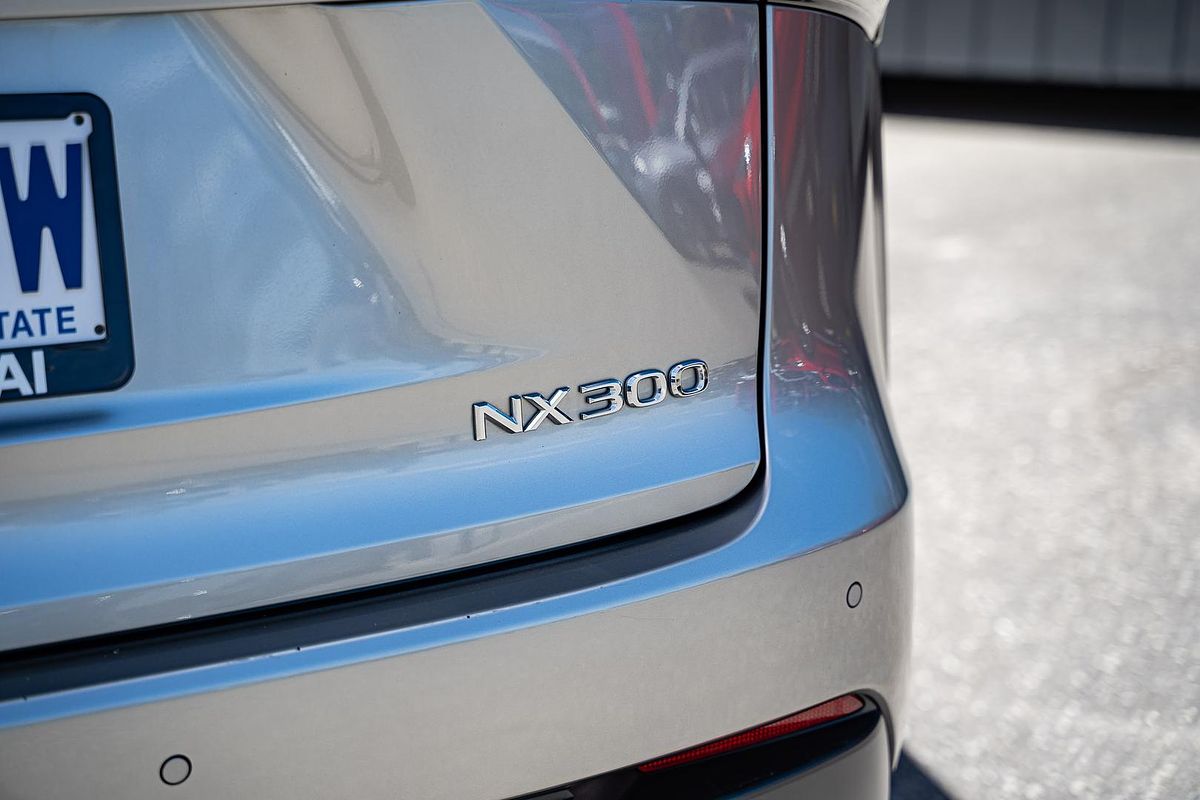 2021 Lexus NX NX300 Luxury AGZ10R