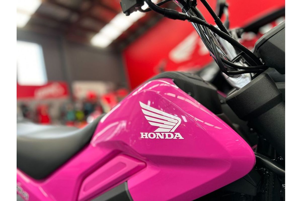 2024 Honda NAVI