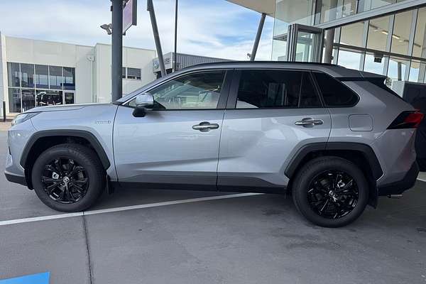 2024 Toyota RAV4 Cruiser AXAH52R