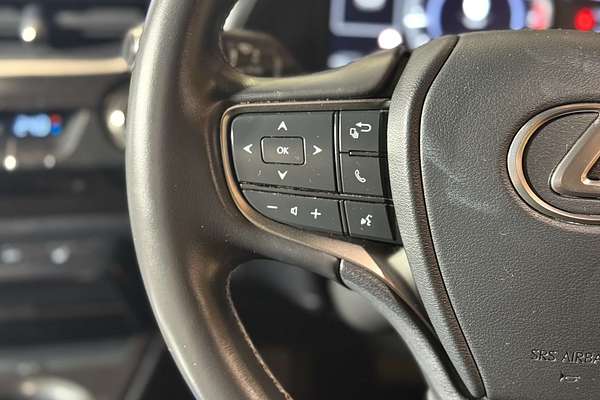 2019 Lexus UX UX200 Luxury MZAA10R