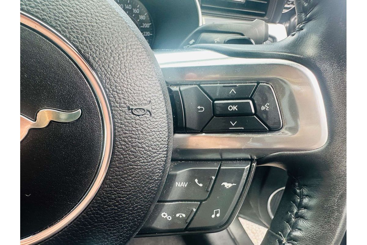 2019 Ford Mustang GT FN