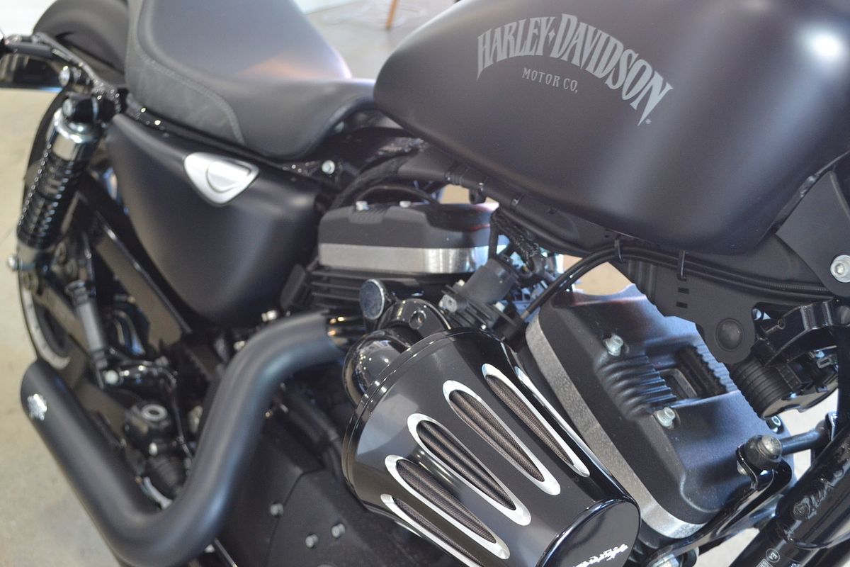 2015 Harley-Davidson Iron 883 (XL883N)