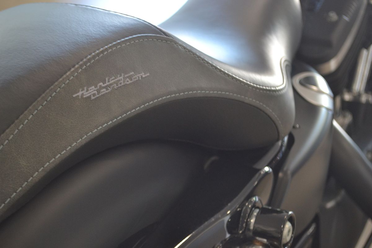 2015 Harley-Davidson Iron 883 (XL883N)