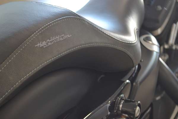 2015 Harley-Davidson Iron 883 (XL883N)