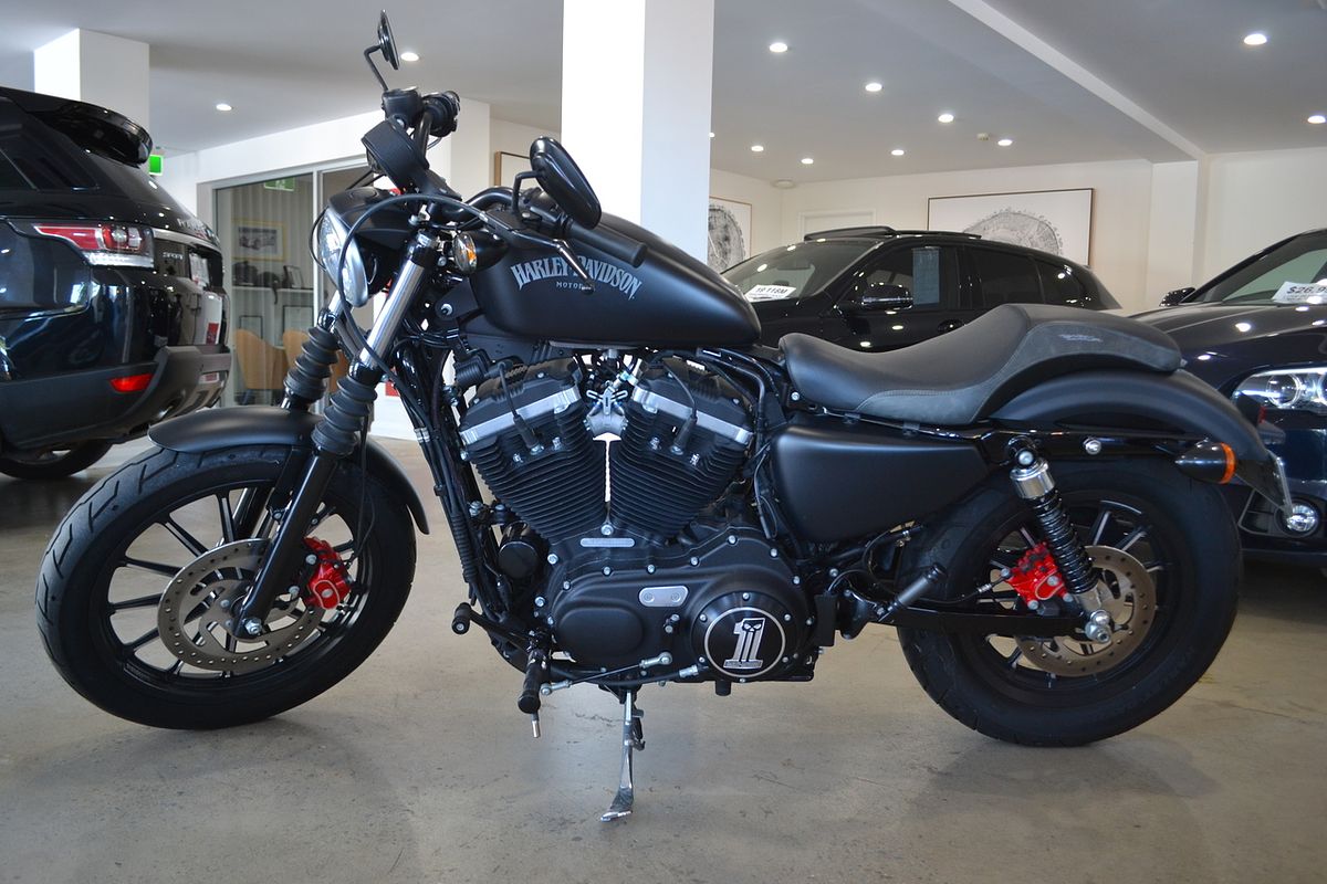 2015 Harley-Davidson Iron 883 (XL883N)