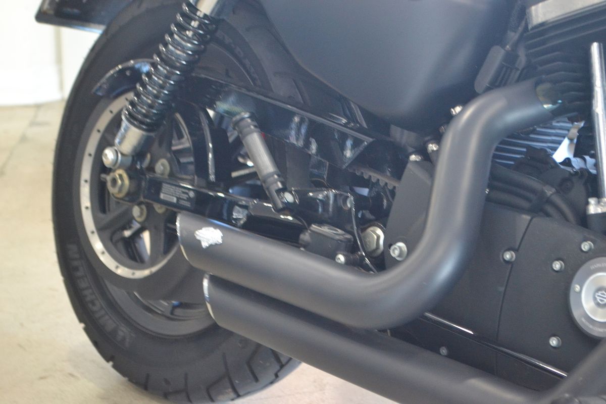 2015 Harley-Davidson Iron 883 (XL883N)