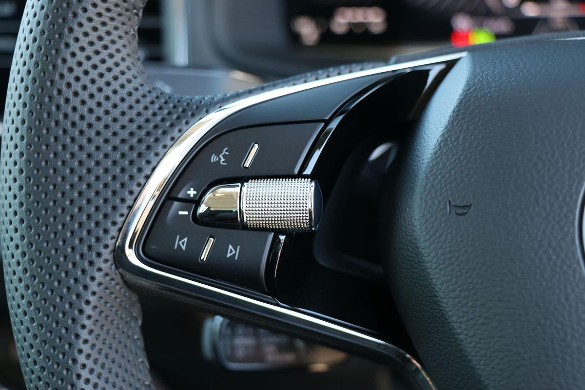 2024 SKODA Karoq 110TSI NU
