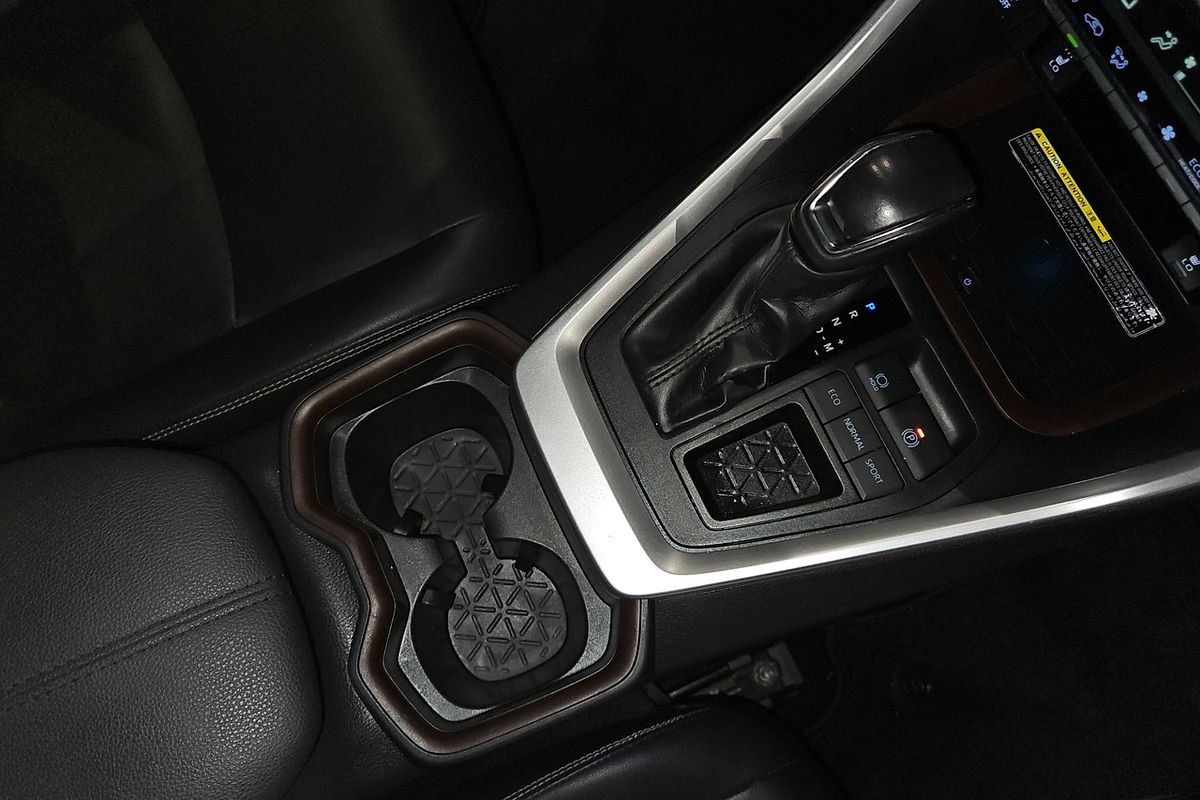2019 Toyota RAV4 Cruiser AXAH52R
