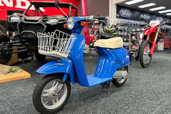 1982 Honda NIFTY 50