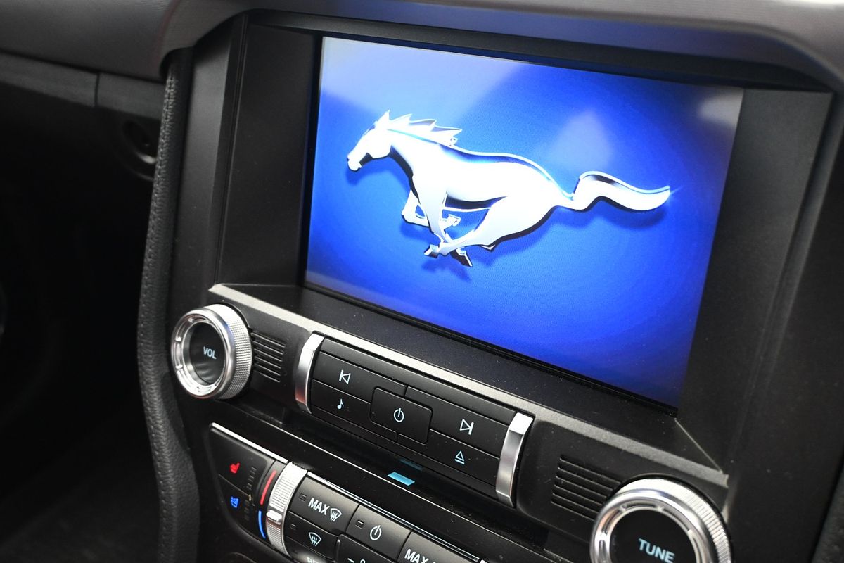 2019 Ford Mustang GT FN