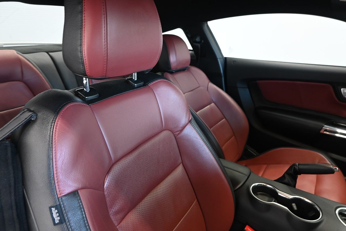 2019 Ford Mustang GT FN