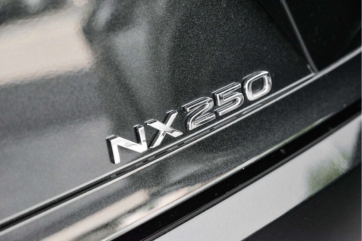 2024 Lexus NX NX250 AAZA20R