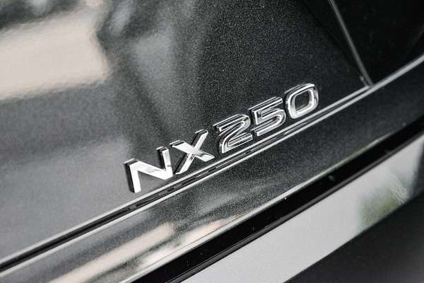 2024 Lexus NX NX250 AAZA20R