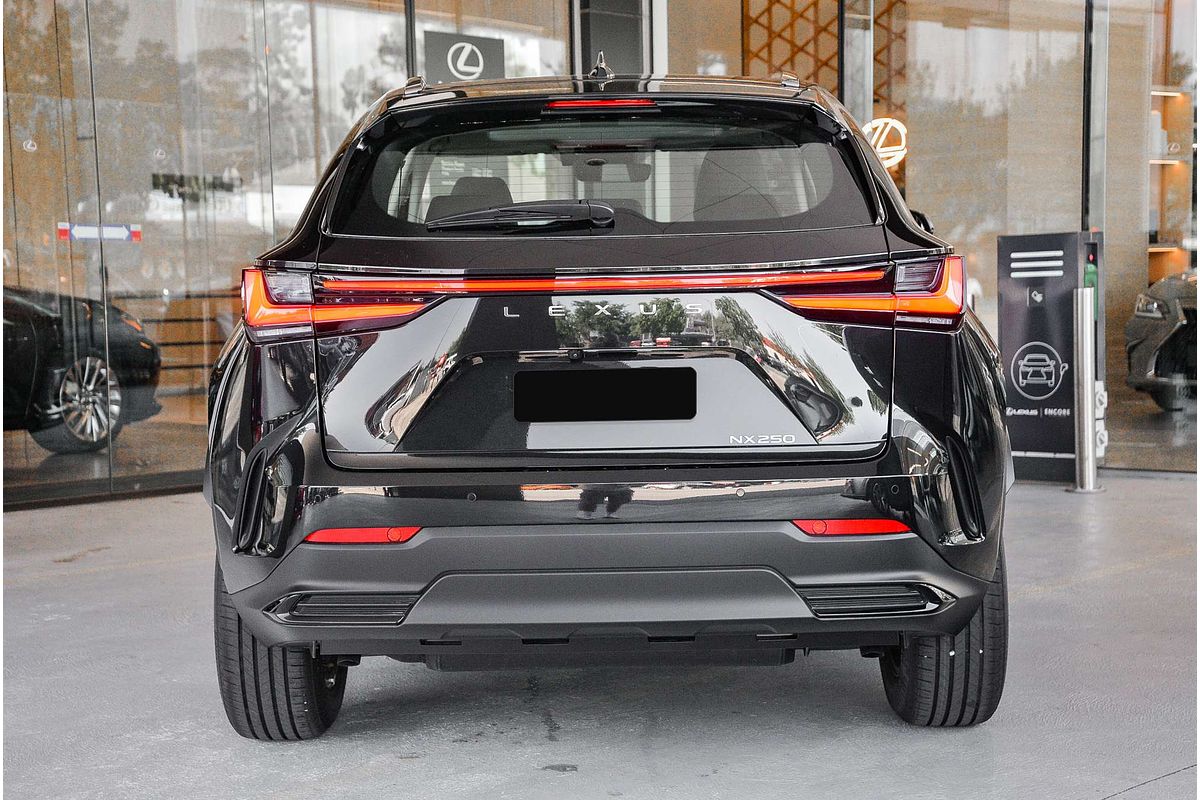 2024 Lexus NX NX250 AAZA20R