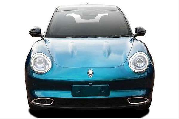 2024 GWM Ora Standard Range ES11