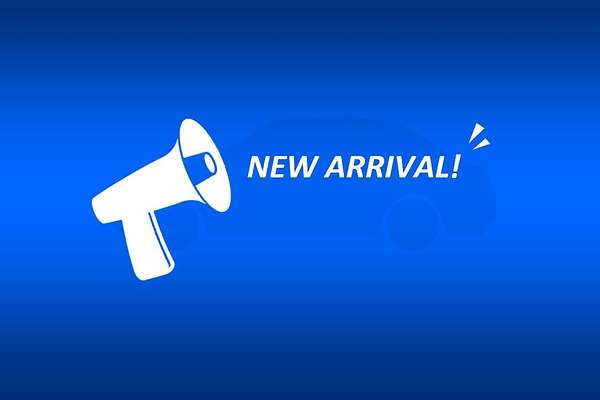 2021 Ford Transit 410L VO