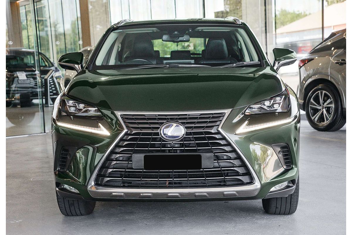 2021 Lexus NX NX300h Sports Luxury AYZ15R