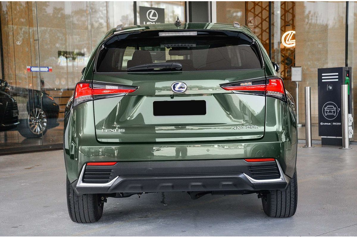 2021 Lexus NX NX300h Sports Luxury AYZ15R