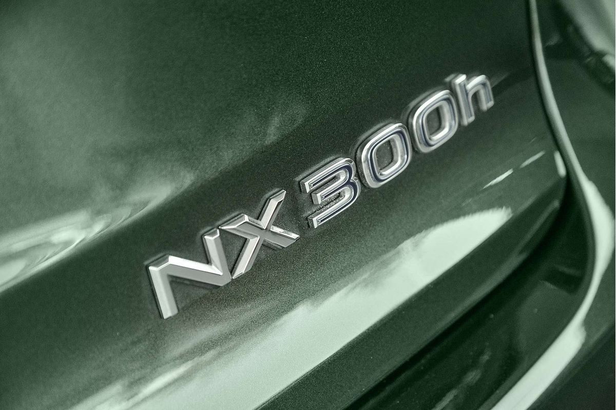 2021 Lexus NX NX300h Sports Luxury AYZ15R