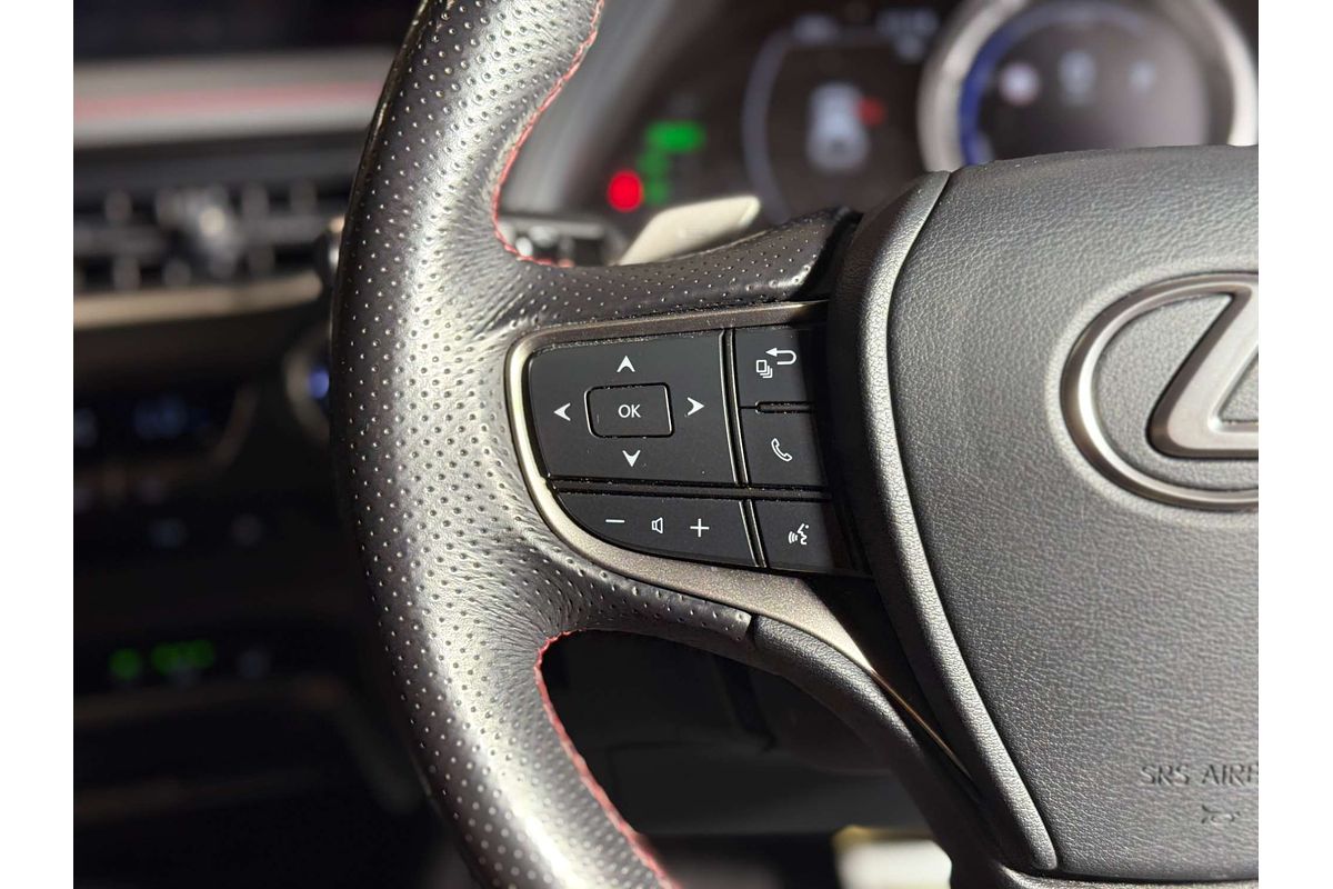2020 Lexus UX UX250h F Sport MZAH10R