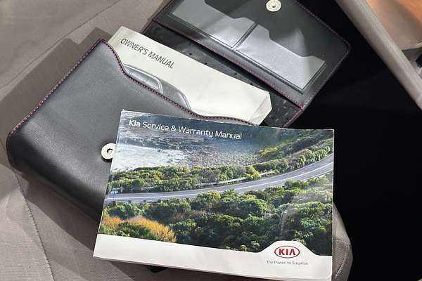2019 Kia Carnival S YP