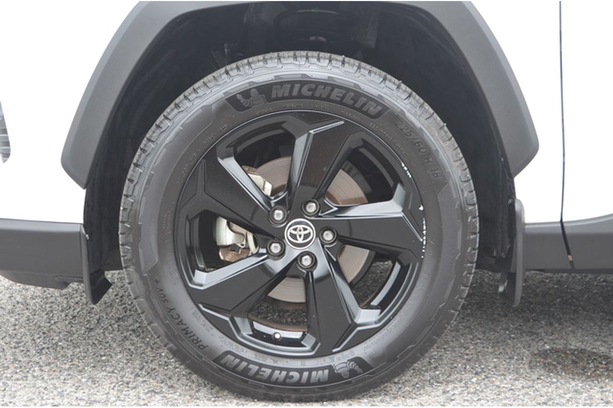 2021 Toyota RAV4 Cruiser AXAH54R