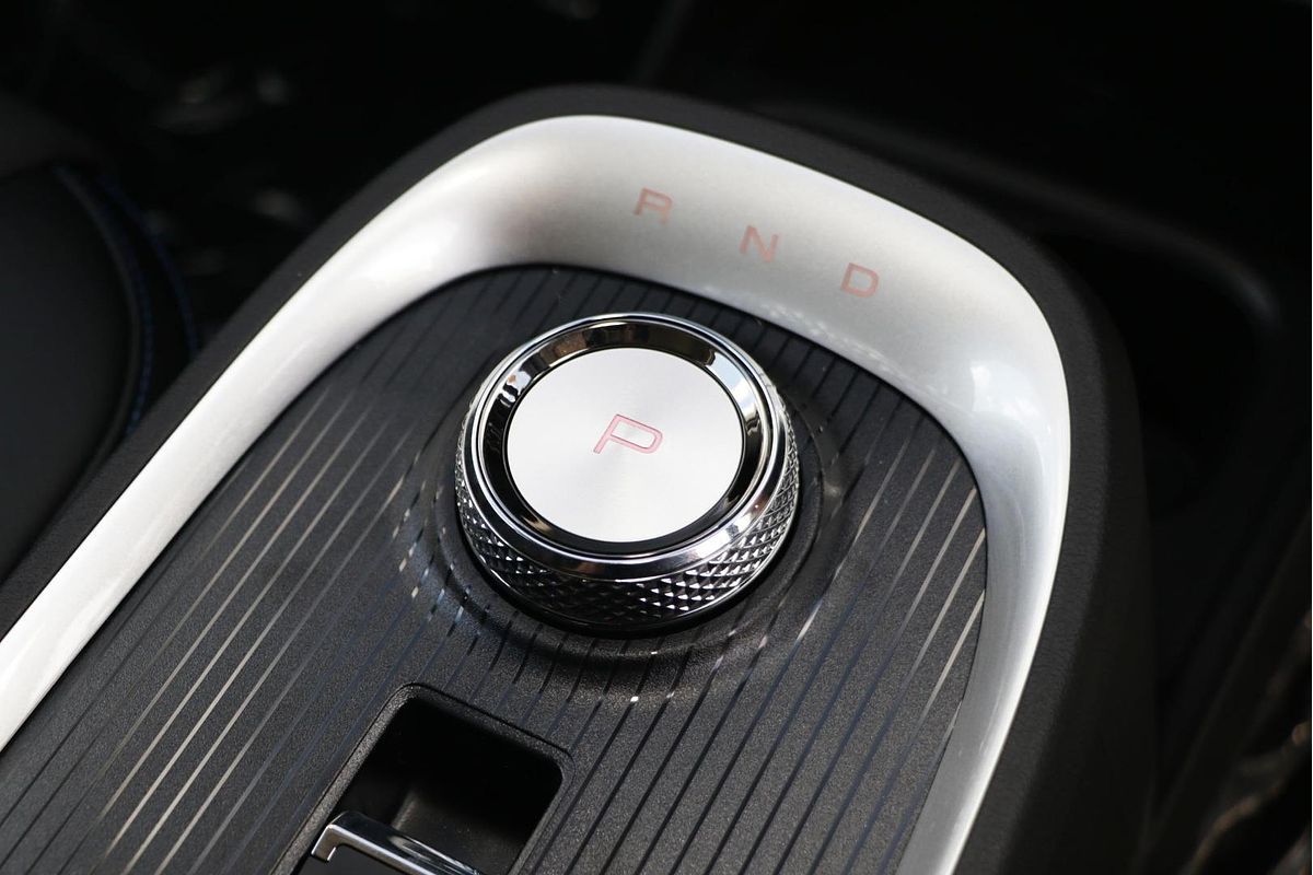 2024 GWM Ora Standard Range ES11