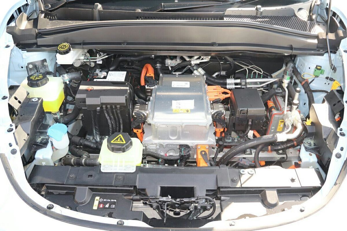 2024 GWM Ora Standard Range ES11