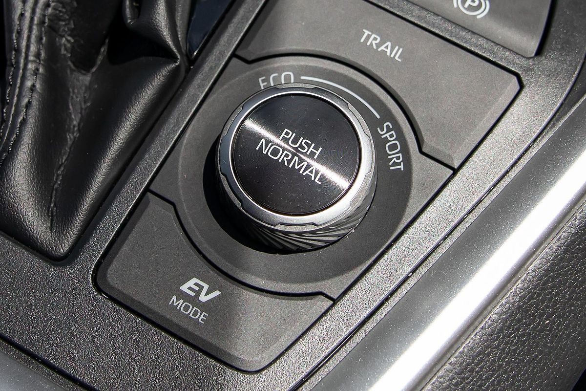2020 Toyota RAV4 Cruiser AXAH54R