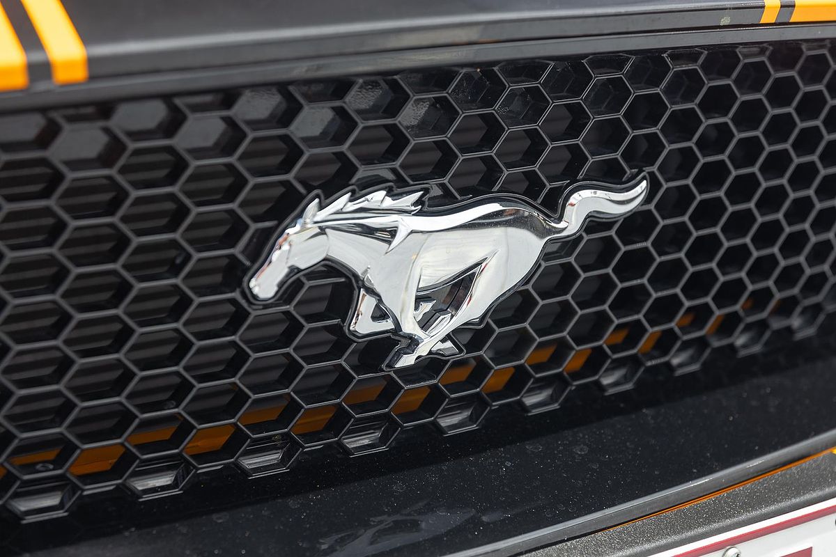 2019 Ford Mustang GT FN