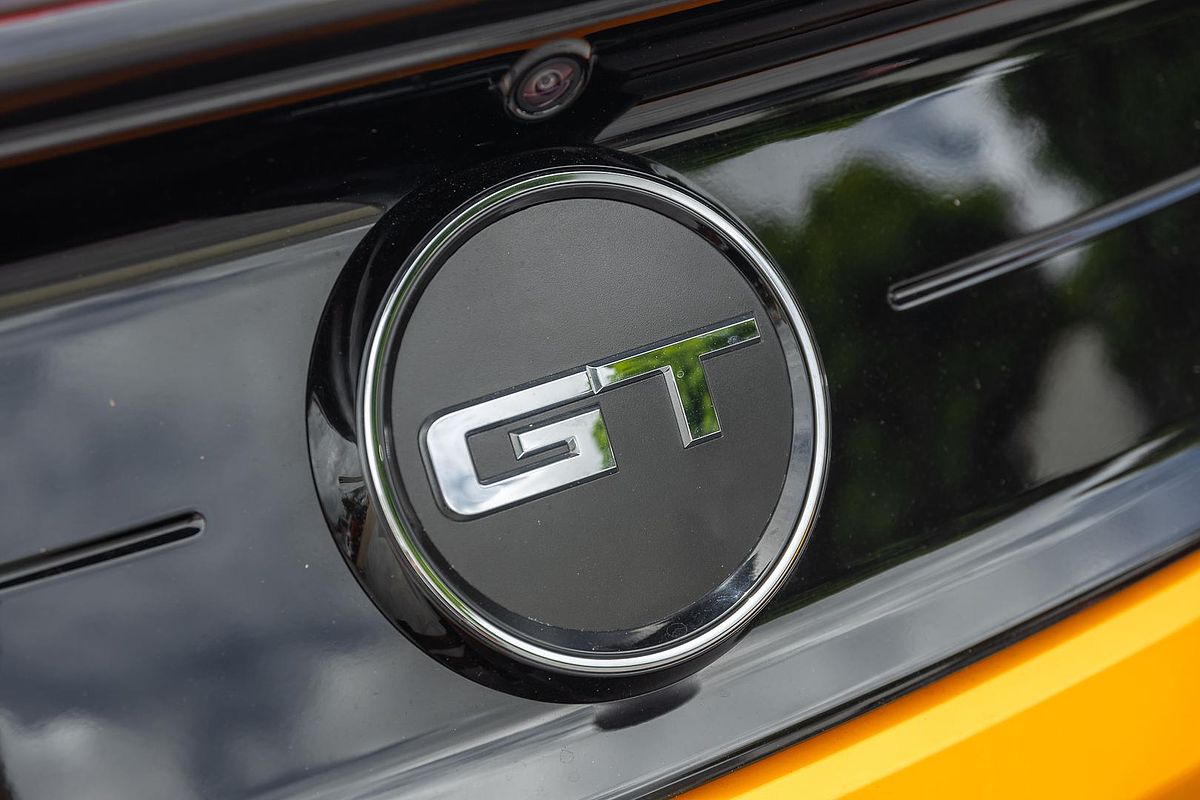 2019 Ford Mustang GT FN