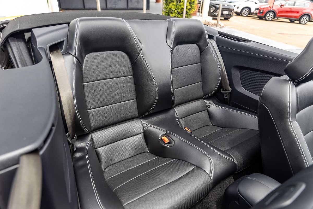 2019 Ford Mustang GT FN