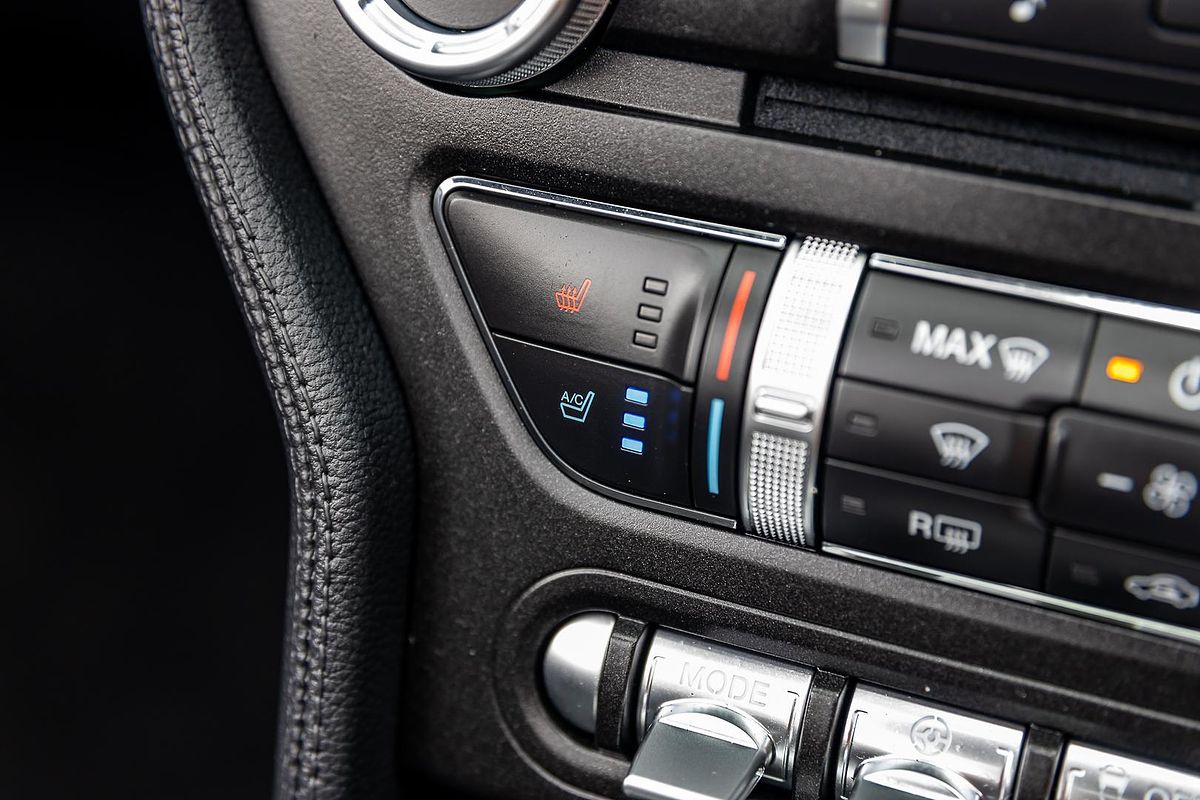 2019 Ford Mustang GT FN
